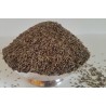 Caraway seeds (Shahjeera)