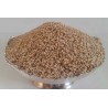 Sesame seeds (Safed til)