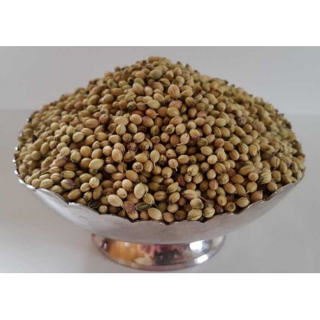 Coriander seeds (Dhana)