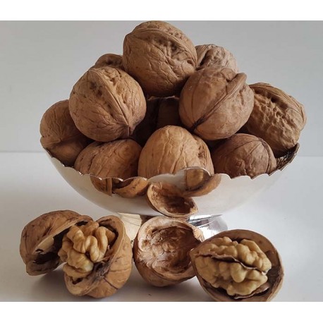 Whole Walnuts (Akkha Akrod)