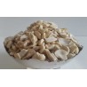 Broken Pieces (Tukada) Cashew